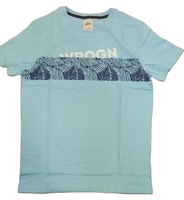 Hoogwaardig 100% katoenen heren gebreid jersey T-shirt met print, korte mouwen, regular fit, formeel, 180 gram, concurrerende prijs