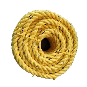 Fabricación Personalizable 3-4 Strand Cuerda de algodón PE PP Twisted Packaging Cuerdas al por mayor Fabricante de Cuerdas de PP de Algodón - Product Image 1