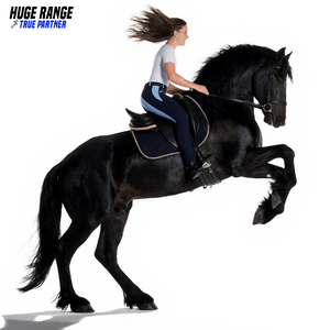 Pantalones de Montar a Caballo Personalizados para Mujer, de Spandex/Algodón, Transpirables, de Cintura Alta, Largos, Tipo Jodhpur - Product Image 1