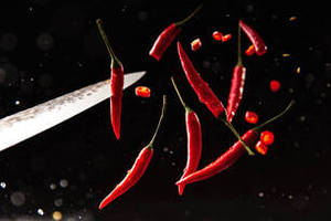 Exportación a Granel de Chile Rojo Entero de Gujarat, India, de FitTree International, para Programas Comerciales de Adquisición de Ingredientes - Product Image 2