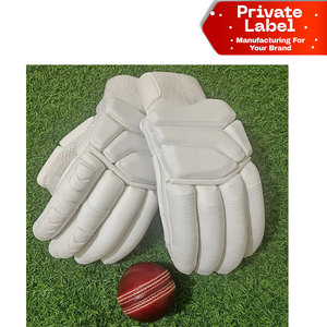 Gants de frappe de cricket personnalisés avec logo brodé plat, fourniture d'étiquettes sportives tendance, équipement OEM sous marque privée, gants de frappe de cricket - Product Image 1