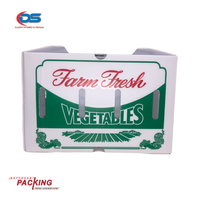 DAT THUAN PP Plastique Ondulé Gingembre Feuille Fruits Légumes Emballage Cartonplast Boîtes Brocoli Raisins Emballage Emballage Alimentaire