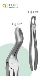 Forceps d'extraction dentaire 2026 de fabrication pakistanaise, modèle anglais, en acier, équipement dentaire, forceps d'extraction dentaire - Product Image 4
