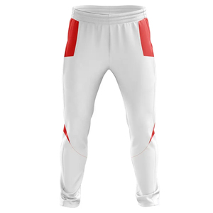 Fournisseur de tenues et maillots personnalisés pour équipes de cricket, vêtements de sport imprimés à manches courtes, 100% polyester, protection UV - Product Image 6