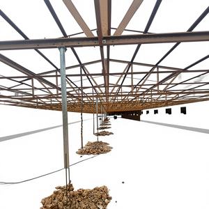 Structure métallique pour ferme avicole Eratek EC100.100, poutre de toit en acier G550, norme JIS, maison résidentielle légère, tolérance de 5% - Product Image 6