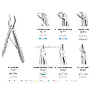 Mejor Juego de Fórceps Dentales Pediátricos al por Mayor, 7 Piezas, Acero Inoxidable de Grado Alemán, Manual, Certificado CE, Quirúrgico - Product Image 2