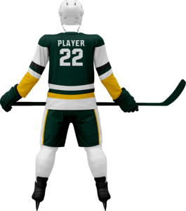 Custom Ice Hockey Jersey Sublimated Team Uniform Blank Training Shirt Heavyweight <b>Mesh</b> Sports Practice Wear 2026 - Product Image 5
