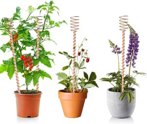 Varillas de Cobre Natural de Alta Calidad para Cultivo Electrolítico, Potenciador de Energía del Suelo para Plantas, Herramientas Orgánicas para Jardinería y Agricultura - Product Image 6