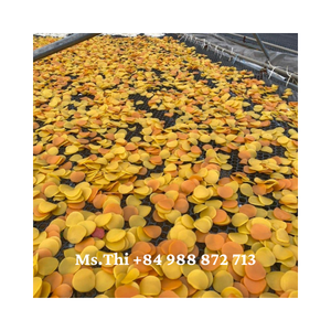 แครกเกอร์กุ้ง/แครกเกอร์จำนำแห้งผักชิปจากซัพพลายเออร์เวียดนามในตลาดจำนวนมาก /ms.thi - Product Image 2