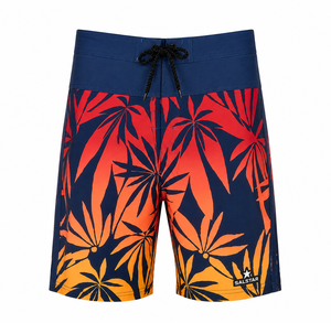 Shorts de surf pour hommes à séchage rapide, shorts de plage avec logo avant, maillots de bain légers, écologiques, respirants, en toile élastique - Product Image 3