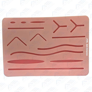 Kit d'entraînement à la suture pour instruments chirurgicaux, comprenant des outils de suture essentiels, kit de dissection chirurgicale pour la pratique de la suture - Product Image 2