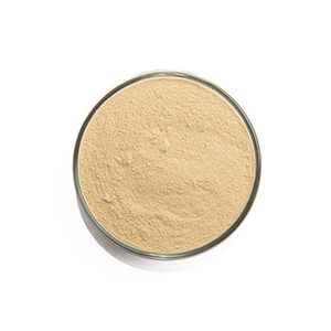 High Quality Silk Peptide Powder Bulk Purchase Reliable Export Grade - Product Image 5