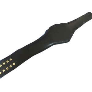 Ceci est une réplique de la ceinture du championnat léger de la WWF. - Product Image 6