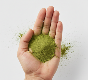 Extracto de Hoja de Moringa Orgánico Premium en Polvo, Suministro a Granel Natural de Alta Calidad al por Mayor para Uso Saludable y Nutricional - Product Image 4