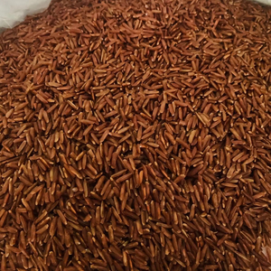 Riz Rouge Séché Dur Adapté aux Diabétiques, Grains Longs du Vietnam, Faible IG, Céréale Intégrale, Aliment Nutritif, Vente en Gros, OEM, Marque Privée, Nouvelle Récolte - Product Image 2