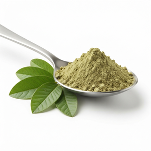 Extracto de Hoja de Guayaba en Polvo, Extracto de Hoja de Psidium guajava, Extracto Herbal Botánico Natural, Proveedor y Exportador al por Mayor - Product Image 2