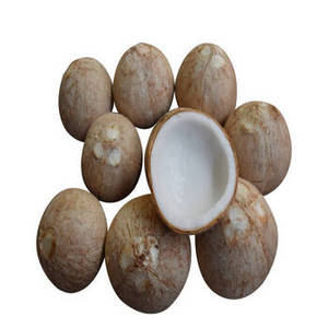 Coco Seco Indio de Primera Calidad, Nueva Temporada, en Rodajas, Copra Blanca Madura, Coco Natural Deshidratado, Ingrediente para Exportación, Venta al Por Mayor a Granel - Product Image 1