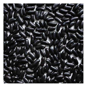 Wholesale Supplier Black kidney Beans <b>For</b> <b>Sale</b> In Reasonable Price top quality - Product Image 5