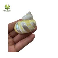 Coquille de conque en nacre blanche faite à la main du Vietnam, grande coquille de mer pour artisanat DIY, incrustation de bijoux, export en gros