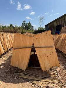 Placage de bois de caoutchouc du Vietnam 100% naturel, coupé rotativement, qualité A/B/AB/BC/ABC, écologique, 1270x640mm pour la fabrication de contreplaqué - Product Image 2