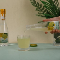DANLY Natuurlijke Fruitgeïnfuseerde Passievrucht & Sinaasappel Honingdrank 435ml Geflesseerd Kant-en-klaar drankje voor de detailhandel
