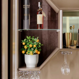 Mueble Bar de Diseño Solviera, Mueble Premium para Almacenamiento de Licores con Estantes y Racks, Mueble Bar Contemporáneo para el Hogar Solviera de Lujo - Product Image 2