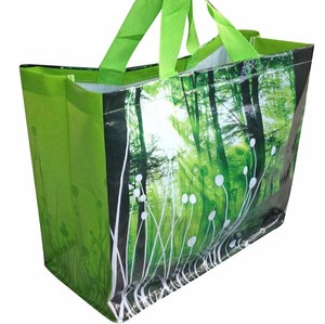 Sac fourre-tout réutilisable personnalisé en non-tissé 80 g/m² avec poignée, impression hélio de haute qualité, fabriqué au Vietnam, logo PP - Product Image 2