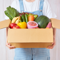Cajas de Cartón Resistentes a Impactos, Hechas con Materiales Reciclados y Revestimiento de Cartón, Ecológicas y Reutilizables para la Agricultura