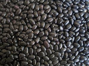 Venta directa de fábrica al por mayor a precio competitivo de frijoles negros, suministrados para importadores y proveedores globales de alimentos en Austria. - Product Image 6