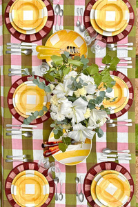 Nueva colección de manteles individuales decorativos de rafia hechos en Vietnam con decoración OEM ODM, con el mejor precio y la mejor calidad. - Product Image 6