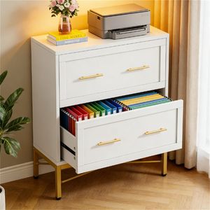 ตู้เก็บเอกสารสำนักงานแบบสองลิ้นชัก พร้อมที่วางเครื่องพิมพ์และอุปกรณ์เก็บรูปภาพ สำหรับใช้งานในสำนักงาน - Product Image 3