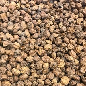 Noix de tigre de qualité supérieure, prix d'usine, vente en gros, approvisionnement en vrac, prix compétitif, marchés mondiaux, Autriche - Product Image 3