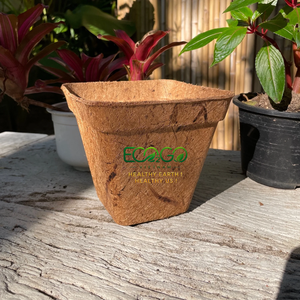 Macetas de Fibra de Coco para un Fácil Trasplante, Recipientes de Cultivo de Fibra de Coco para Plántulas, Flores, Hierbas y Plantas de Jardín - Product Image 5