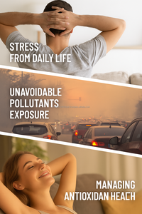 Gélules de Lycopène Extrait de Tomate Complément Naturel de Lycopène OEM Corée Supplément Santé - Product Image 2