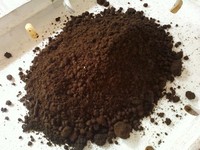 Vermicompost de haute qualité – Engrais organique naturel, excréments de vers, prix compétitif // M. Tom