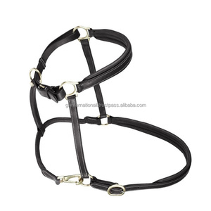 Dos de cheval en cuir noir à double couture et rembourrage en tailles d'épi complètes avec boucle en laiton robuste et licou à anneau pour cheval - Product Image 3