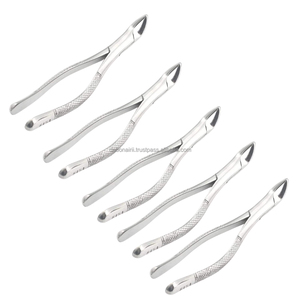 Fórceps Dentales Manuales Reutilizables de Alta Resistencia, Fresas de Carburo, Acero Inoxidable, Agarre Ergonómico, Instrumentos de Extracción Oral con Certificación CE - Product Image 6