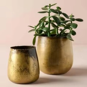 Maceta Metálica Elegante de Diseño Clásico, Maceta Decorativa para Plantas de Interior, para Hogar, Jardín, Balcón, Sala de Estar, Decoración con Estilo - Product Image 1