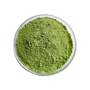 Polvo de extracto de hoja de Neem Natural puro 100% orgánico de alta calidad, extracto de hierbas de grado alimenticio, polvo verde a precio mayorista - Product Image 5