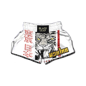 Shorts de combat thaïlandais et Muay Thai personnalisés en gros avec logo, 100 % polyester de qualité supérieure, usine OEM - Product Image 6