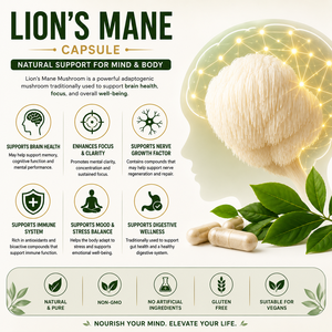OEM/ODM Pure Lions Mane Extract Capsules (Wild Cultivated) 60 Cápsulas 500mg para uso en adultos Memoria cerebral y mejora del enfoque - Product Image 5