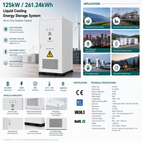 Armoire de stockage d'énergie BESS LiFePO4 refroidie par liquide 261 kWh 832 V, système de stockage d'énergie 125 kW pour usage commercial et industriel