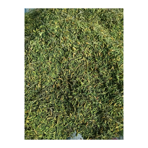 มีบริการ OEM ใบมะละกอแบบแห้งแบบพรีเมี่ยมจากเวียดนาม - Product Image 6