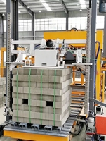 Machine à empiler les briques automatique et économique, empileur de blocs hydraulique pour l'entrepôt de briques de pavé