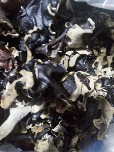 Tiras de Hongo Negro Seco al por Mayor, Champiñones Desmenuzados para Suministro Industrial de Alimentos - Product Image 2