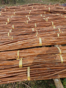 Matériau en rotin naturel de haute qualité, canne polie pour la fabrication de sièges de chaises en osier, fourniture en vrac pour meubles - Macy - Product Image 2