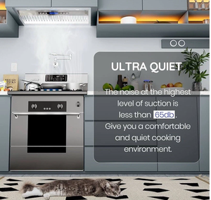 E-K-O-N N-A-B-02 30 9-0-0 C-F-M Campana Extractora Integrada Insercional con Conductos/Sin Conductos - Product Image 3