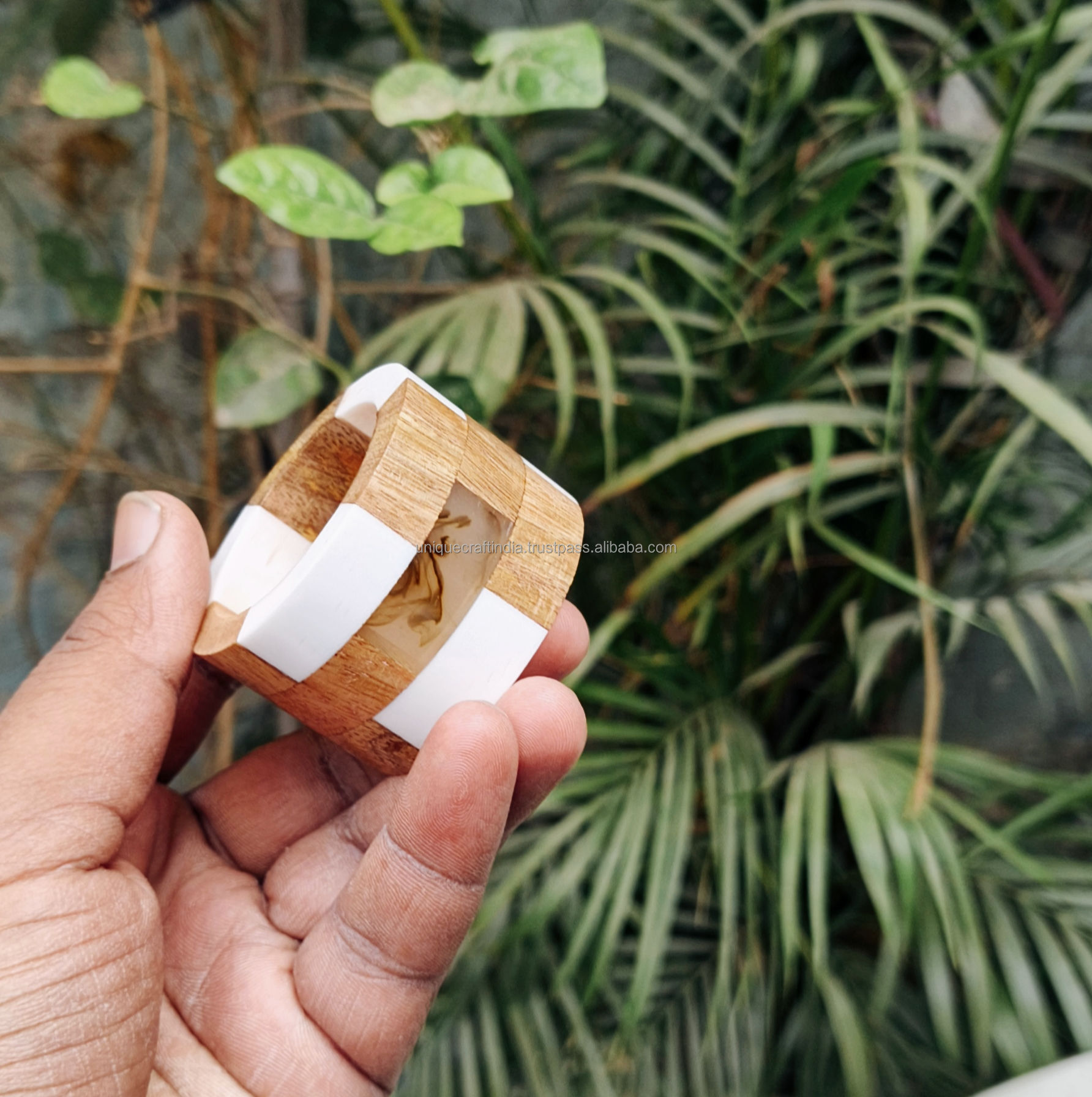 สีน้ำตาลและสีขาว