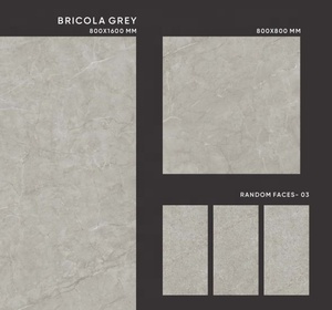 กระเบื้องแผ่นใหญ่คุณภาพพรีเมียม หนา 9 มม. ขนาด 800x1600 มม. ลายแกะสลัก ผิวด้าน ผลิตจากพอร์ซเลน กันน้ำ กันไฟ ดีไซน์ทันสมัยสำหรับบ้าน - Product Image 1