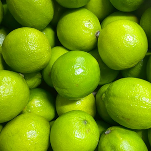 Limón Fresco Sin Semillas de Alta Calidad _ Exportación Confiable de Vietnam para Importadores B2B - Product Image 5